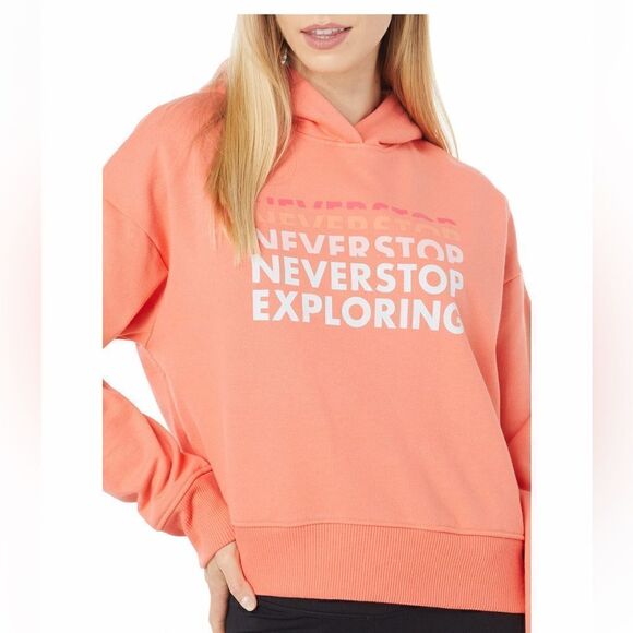 NWT The North Face Logo Play Hoodie - Picture 4 of 11